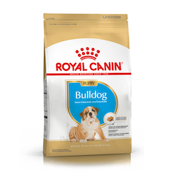 Royal Canin Bulldog Ingles Puppy
