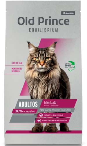 Old Prince Equilibrium Cat Sterilized